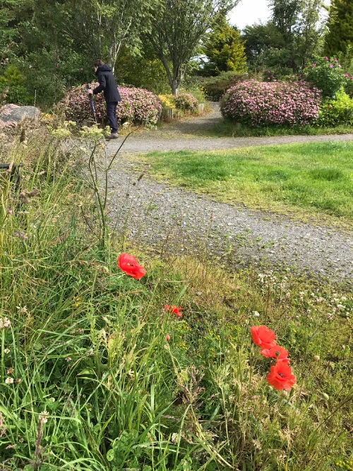 Action for Climate and Environment Newburgh-28